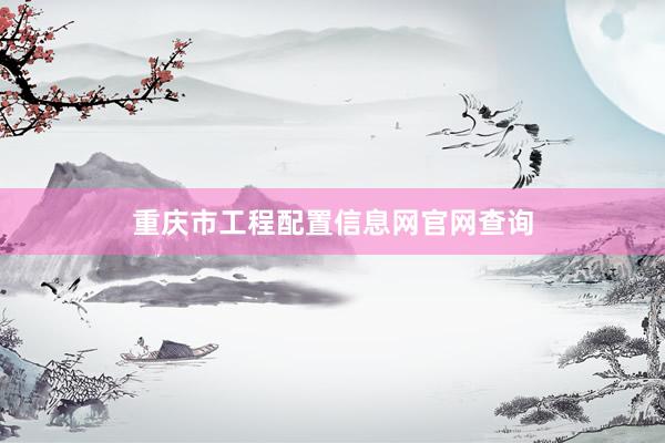 重庆市工程配置信息网官网查询